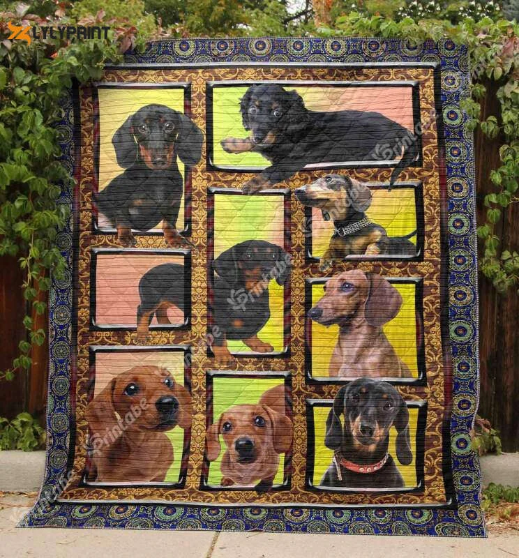 Dachshund Live This Life Awesome 3D Customized Quilt , Soft Quilt, King Size, All Season Cozy Quilt QB0901